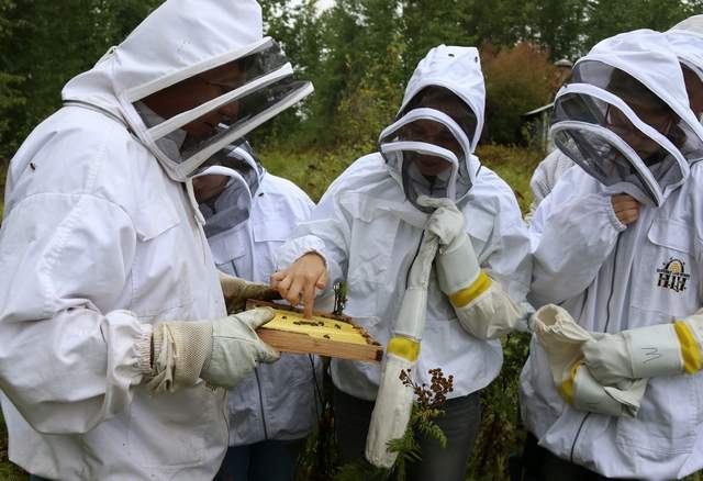 LPOHS Gets hands-on with Bees